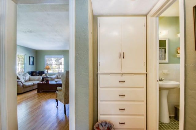 closet featuring sink