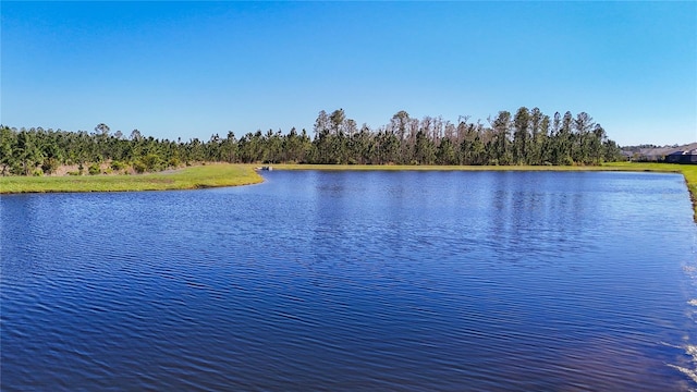 view of water feature
