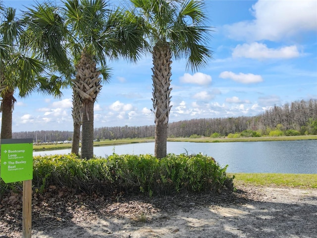 view of water feature featuring a forest view