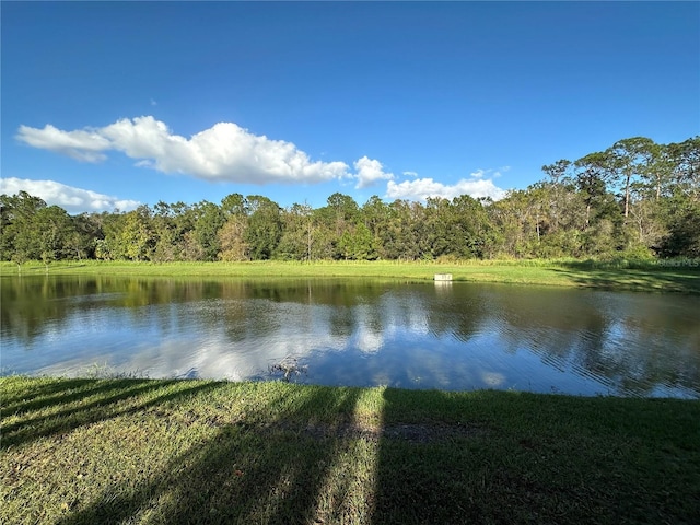 view of water feature