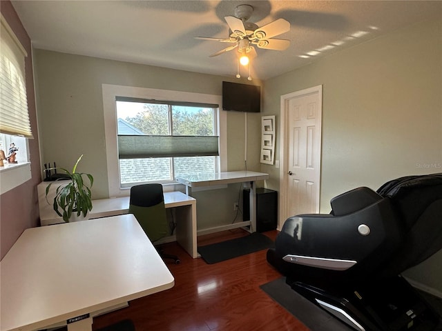 home office featuring dark hardwood / wood-style floors and ceiling fan