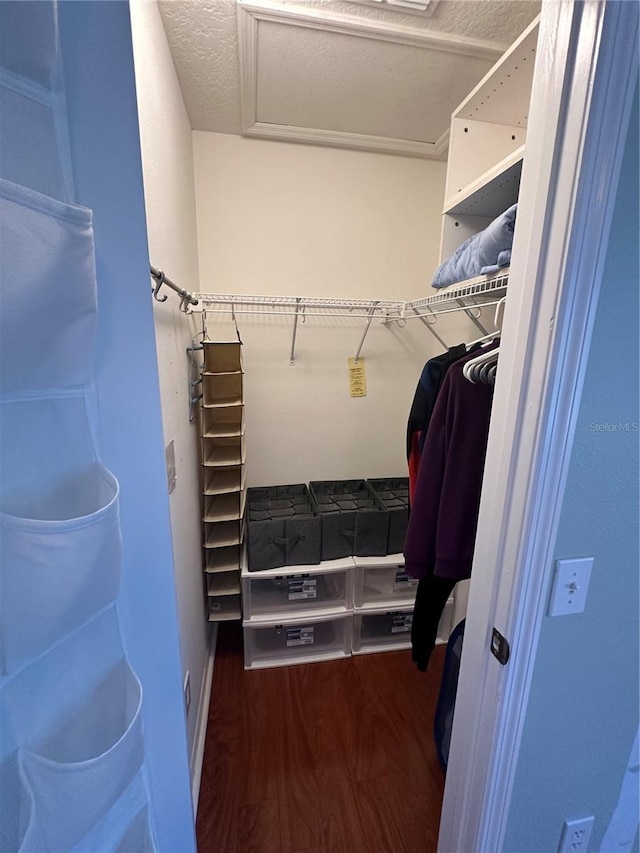 spacious closet with dark hardwood / wood-style flooring