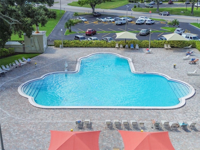 view of pool featuring a patio