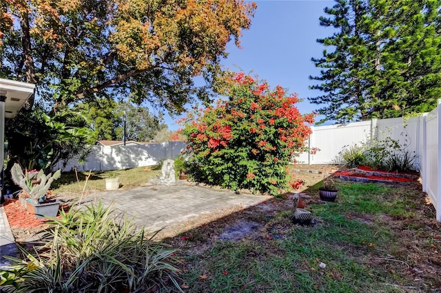 view of yard with a patio area