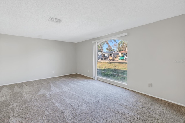 empty room with carpet flooring and a textured ceiling