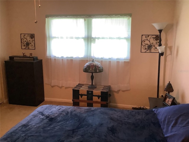 bedroom featuring carpet floors