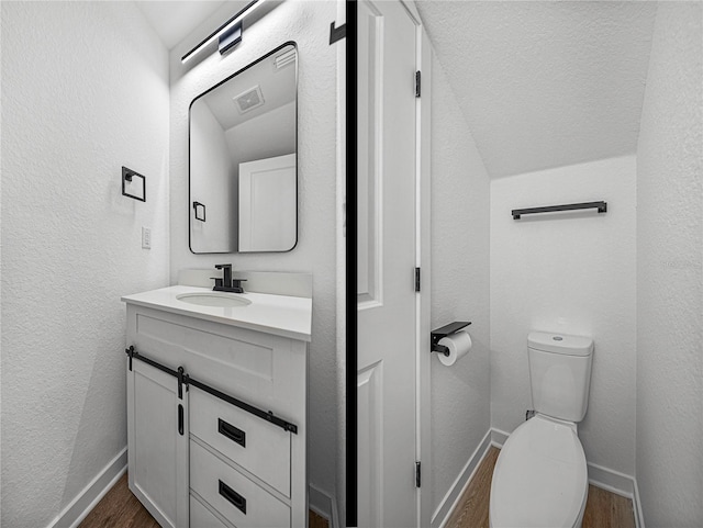 bathroom featuring vanity, toilet, and wood-type flooring