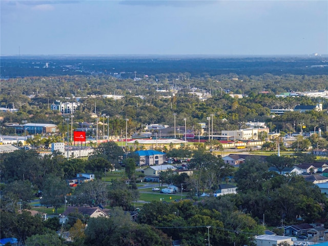 bird's eye view