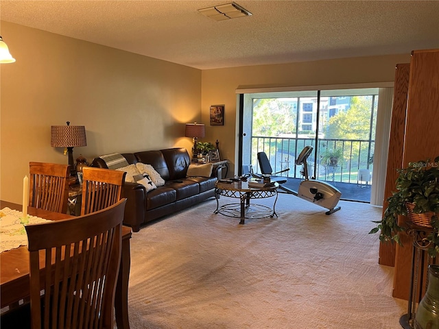 living room with a textured ceiling and carpet floors