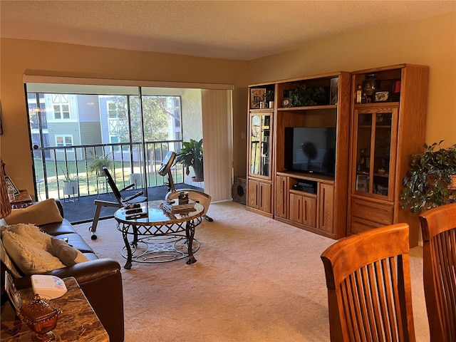 living room with light carpet and a textured ceiling