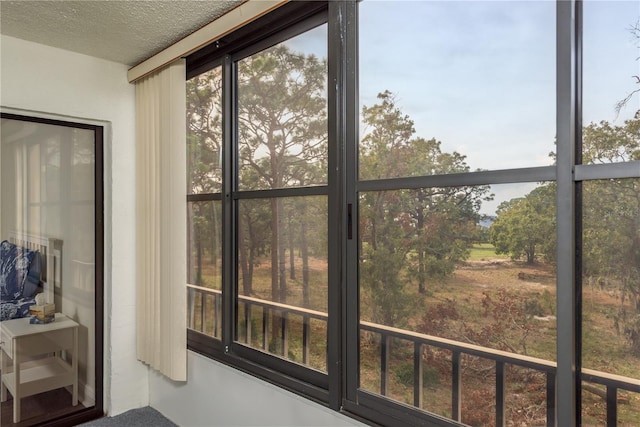 206 Tarpon Pt, Tarpon Springs, FL 34689 - view of sunroom / solarium