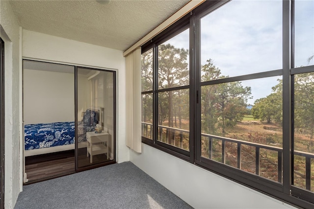 206 Tarpon Pt, Tarpon Springs, FL 34689 - sunroom with carpet flooring and a textured ceiling