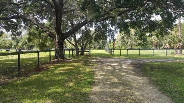 8132 Honeybee Ln, Tampa, FL 33635 - photo 2