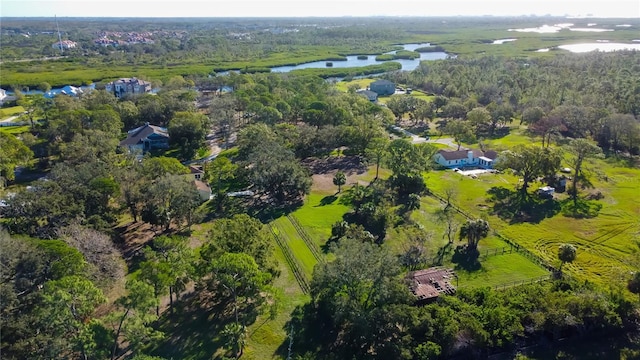 8132 Honeybee Ln, Tampa, FL 33635 - photo 6