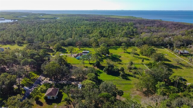 8132 Honeybee Ln, Tampa, FL 33635 - photo 7
