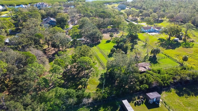 8132 Honeybee Ln, Tampa, FL 33635 - photo 14