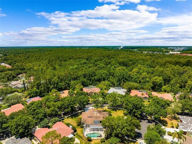 bird's eye view