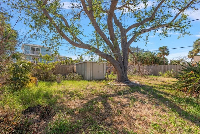 view of yard with a storage shed