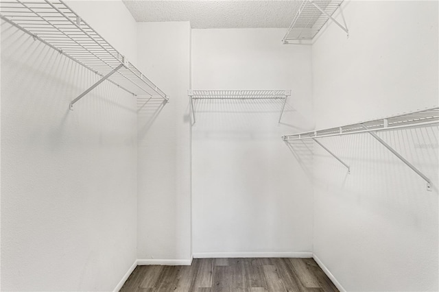 walk in closet featuring wood finished floors