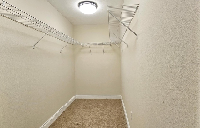 spacious closet with carpet floors