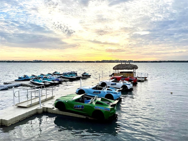 dock area with a water view