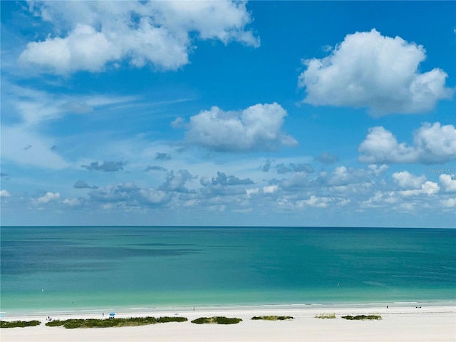 property view of water with a beach view