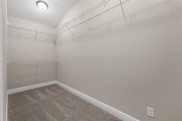 spacious closet with carpet flooring and vaulted ceiling