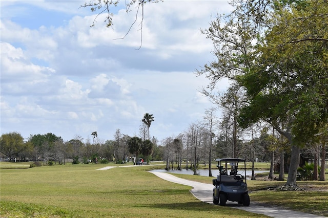 view of home's community with a yard