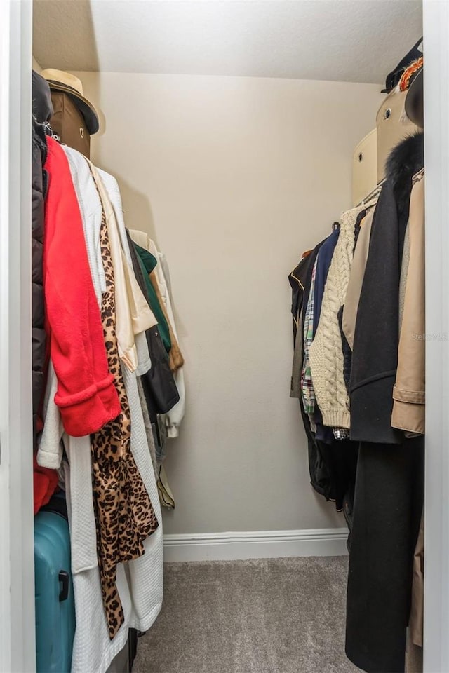 spacious closet with dark colored carpet