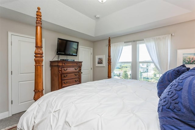 bedroom with carpet and a raised ceiling