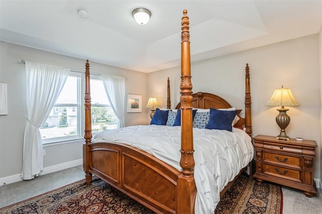 bedroom featuring carpet and a raised ceiling