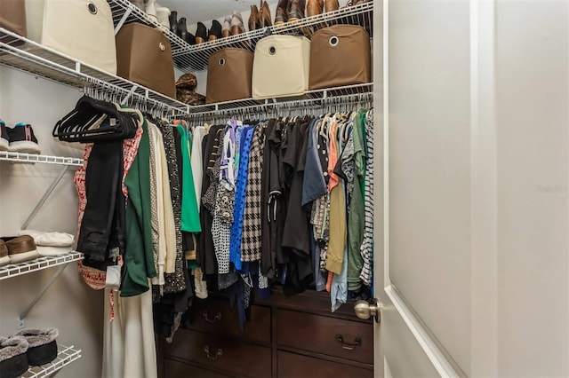 view of spacious closet