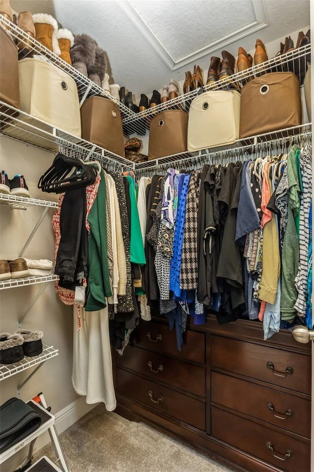 walk in closet featuring light carpet