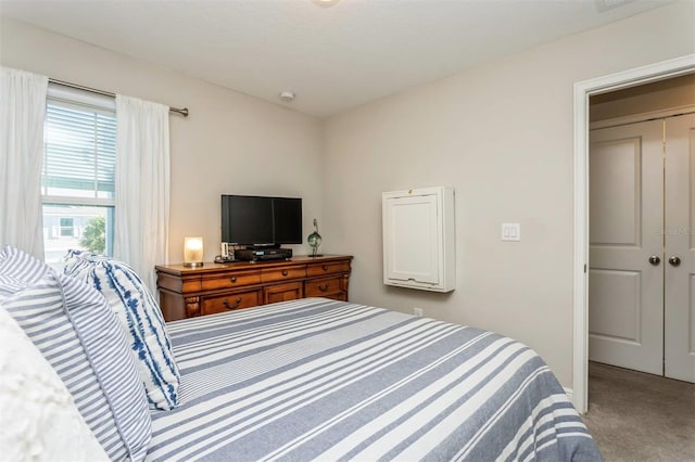 bedroom with a closet and carpet