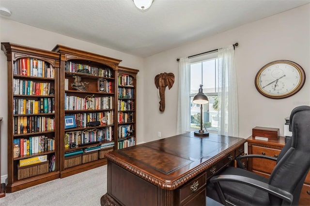 office with light colored carpet and a textured ceiling