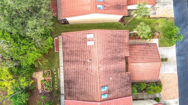 drone / aerial view