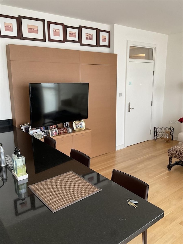 living room with wood-type flooring