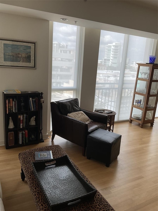 living room with light hardwood / wood-style floors