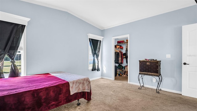 carpeted bedroom featuring a walk in closet, vaulted ceiling, a closet, and crown molding