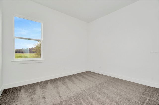 spare room with carpet floors