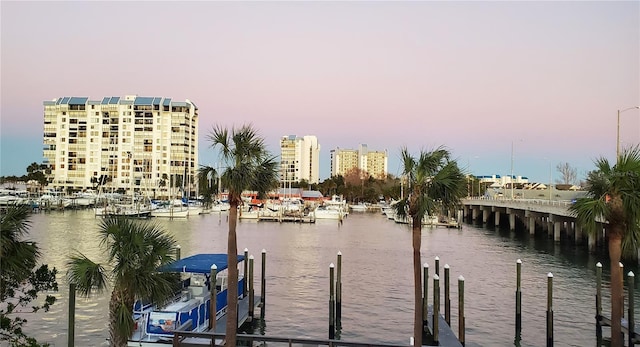 property view of water with a boat dock