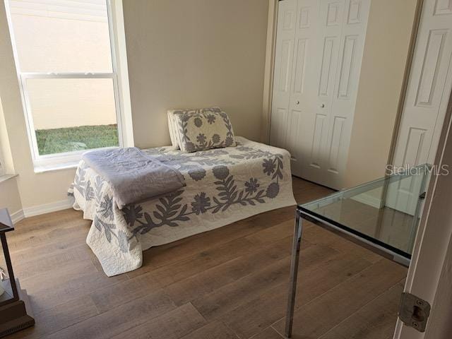 bedroom featuring a closet and dark wood-type flooring