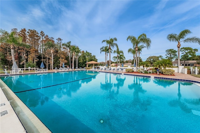 view of swimming pool