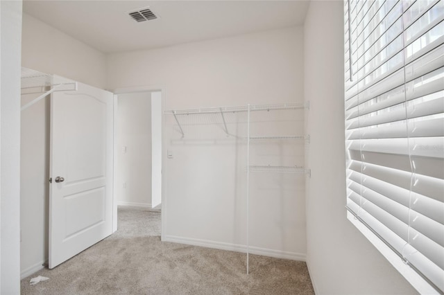 spacious closet with light colored carpet