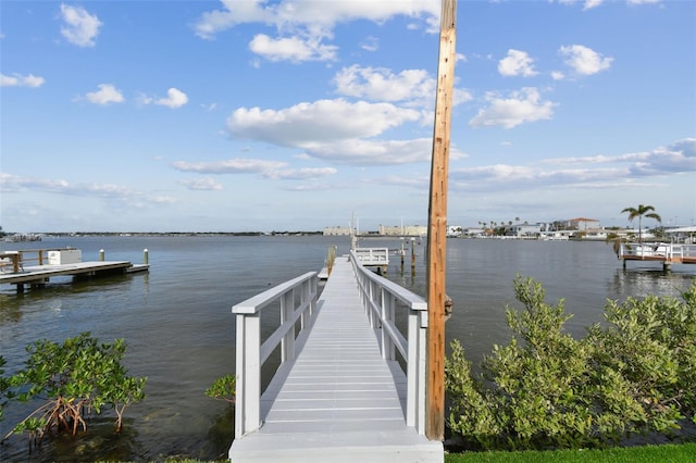 dock area with a water view