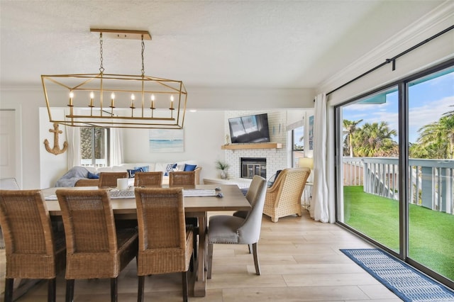 dining space featuring crown molding, light hardwood / wood-style flooring, a textured ceiling, a fireplace, and a chandelier