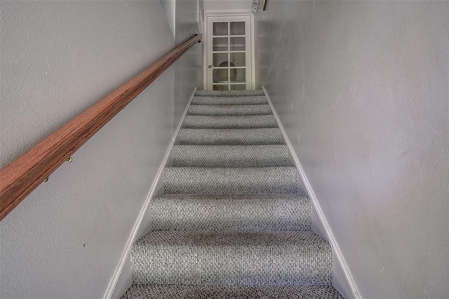 stairway featuring carpet floors