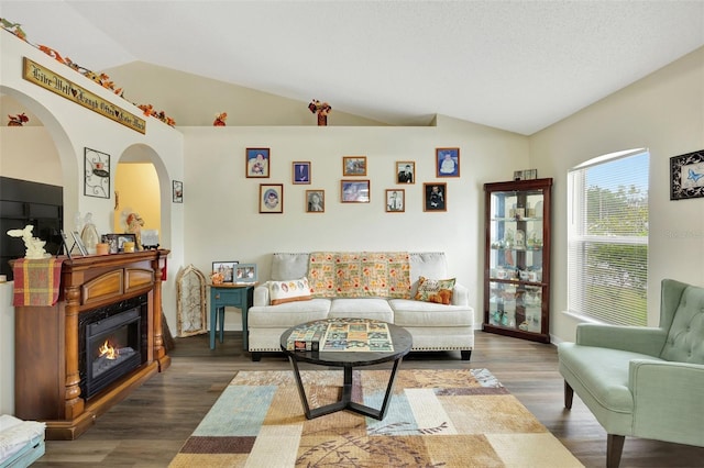 living room featuring dark hardwood / wood-style floors, lofted ceiling, and a textured ceiling