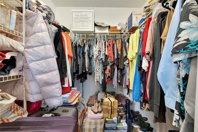 view of walk in closet