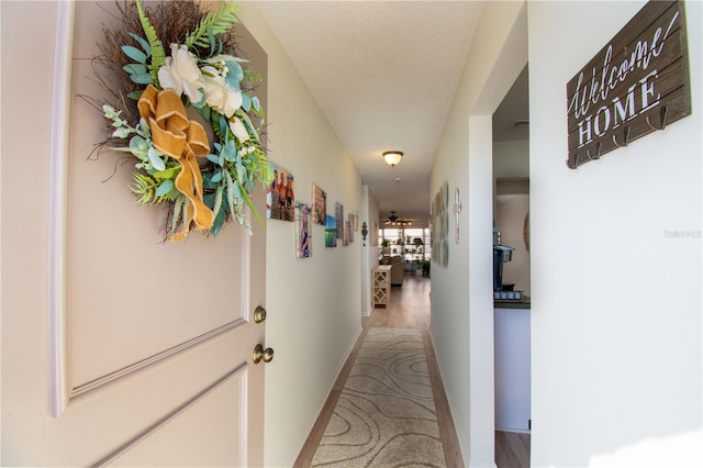 hallway with wood-type flooring and a textured ceiling